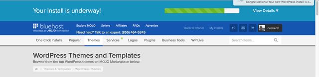 Installing WordPress